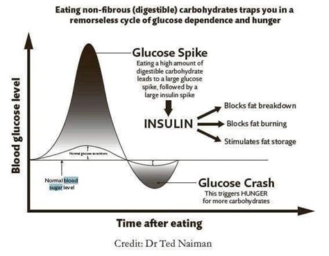 Understanding the Sugar Crash Phenomenon .